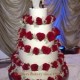 Classic Red Rose
